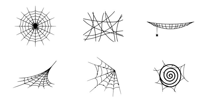 Spider Webs in Various Shapes and Patterns with Intricate Designs and Lines Featuring Web, Pattern, Design with Nature