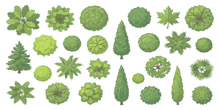 Set of green trees and bushes top view for landscape design plans and architectural site mapping illustrations