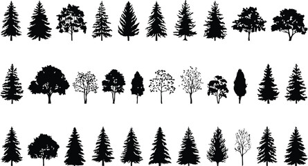 Black and white of various tree types and foliage trees deciduous coniferous © MD MOZAMMEL HAQUE