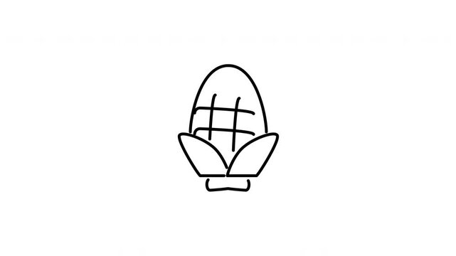 Minimalist outline animation of sweet corn ear maize crop vegetable icon drawing on and fading out. Features a clean pop up style in 3 color setups.