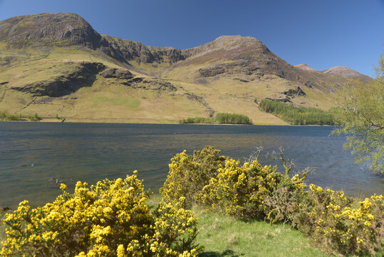 The mountain of High Stile towers above the wooded lake shores of Buttermere in the Lake District