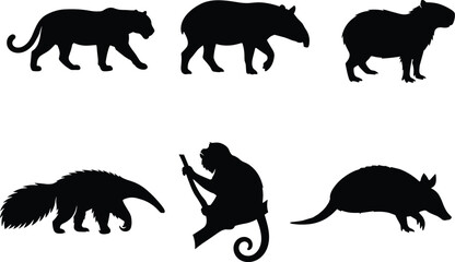 Obraz premium South American Wildlife Silhouette Vector Set Featuring Jaguar, Tapir, Capybara, Anteater, Monkey, and Armadillo