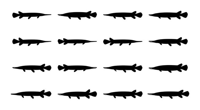 Gar Fish Silhouettes, Aquatic Wildlife Vector Pattern, Black and White River Predator Graphics, Seamless Repeating Design