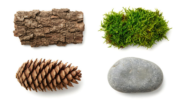 Set of forest elements including tree bark, green moss, pine cone and a smooth grey river stone