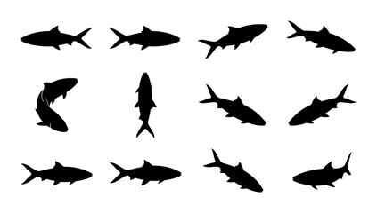 Obraz premium Shark Silhouettes Collection, Marine Life Vector Icons, Ocean Predator Poses, Aquatic Animal Graphics, Underwater Wildlife Set