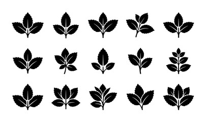 Obraz premium Botanical Leaf Icons Set, Nature Plant Sprigs, Organic Foliage Silhouettes, Vector Elements for Design