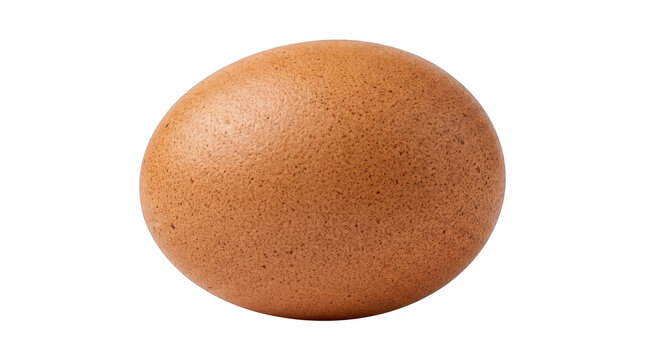 Single brown chicken egg with textured shell during studio lighting against a clean backdrop isolated on transparent background