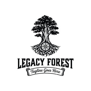 vintage tree with intricate roots compass for legacy forest nature adventure outdoor heritage exploration logo design