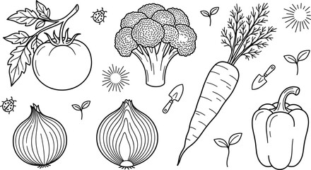 Fresh vegetables line art vector set with tomato broccoli carrot onion bell pepper garden tools sprouts and ladybugs isolated on white background © MDHELAL
