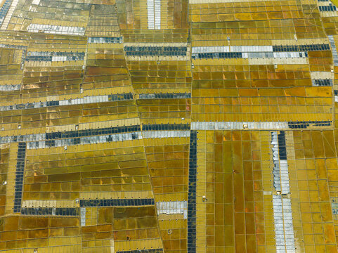 Cox's Bazar, Bangladesh - 02 January 2026: Aerial view of salt pans in Teknaf, showing geometric patterns of rectangular fields with varying shades of yellow, brown, and dark grey.