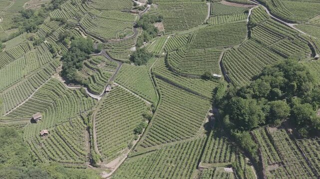Aerial View of Charming Italian Hill Town Surrounded by Vineyards