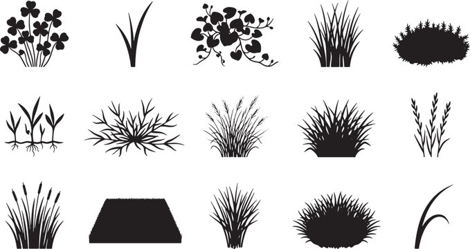 Set of various grass and plant silhouettes for landscaping design projects isolated on white background vector illustration