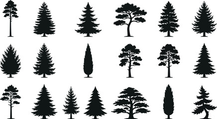 Collection of various coniferous tree silhouettes isolated on a white background for design © MDEBRAHIM