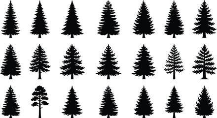 Large set of detailed pine and fir tree silhouettes isolated on a plain white background © MDEBRAHIM