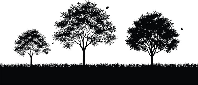 Silhouetted trees against a full moon in a night sky black and white