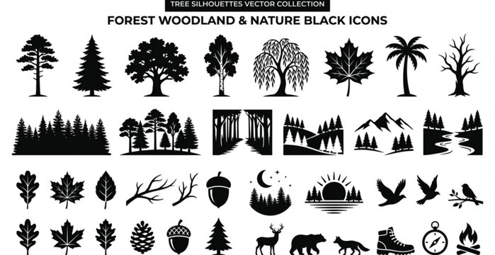 tree, trees, silhouette, forest, woodland, nature, plant, botanical, foliage, leaves, branch, trunk, oak, maple, pine, palm, willow, birch, cypress, acacia, landscape, park, garden, outdoor, black, ve