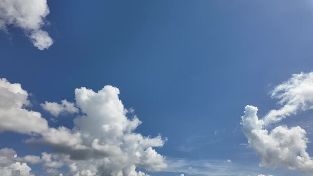 Scattered white fluffy cumulus clouds against a deep blue clear daytime sky, a natural atmospheric scene.