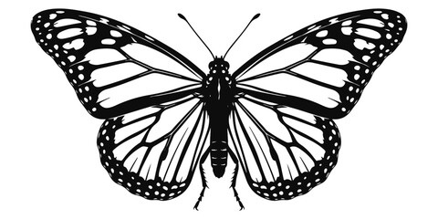 Monarch butterfly with open wings © MD ANOWAR HOSSAIN