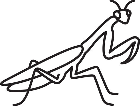 Minimalist praying mantis line art vector, a simple black and white insect illustration, perfect for nature-themed designs, educational materials, or modern graphic elements.