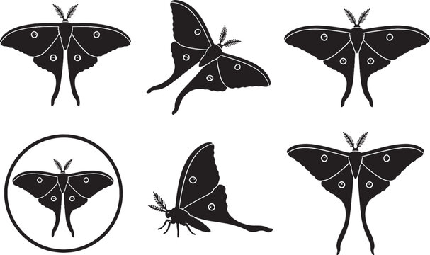 Luna Moth Black Silhouette Icon Set Silk Moth Vector Collection