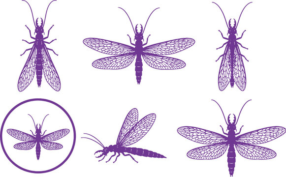 Dobsonfly Black Silhouette Icon Set Corydalidae Insect Vector Collection