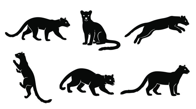 Black silhouettes of fossa in various poses
