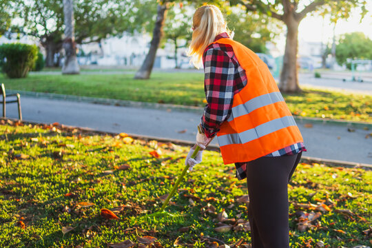 Public park cleaner working outdoors, raking fallen autumn leaves from green grass, performing meticulous street cleaning, and providing essential municipal maintenance service