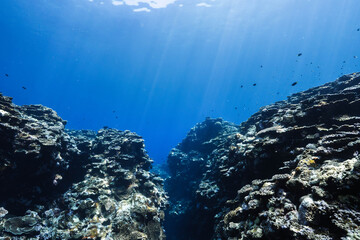 Underwater Coral Reef Landscape with Dramatic Sunlight © Satoshi