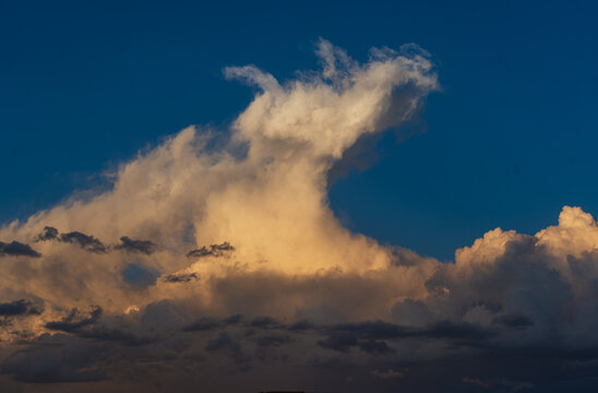 Sunlit Cumulonimbus Thunderstorm at Sunset