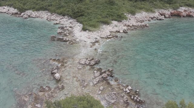Small Rocky Island with Pine Trees in Turquoise Sea
