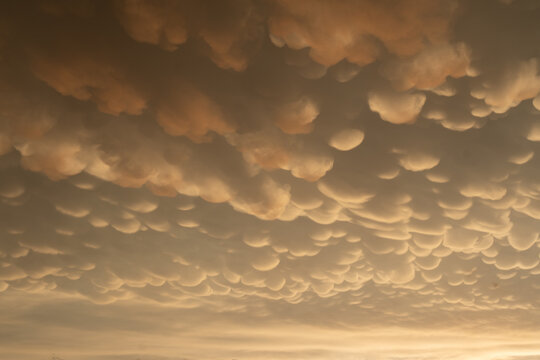 Mammatus clouds at sunset