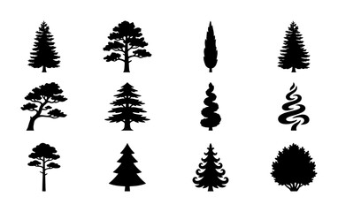 Obraz premium Diverse Evergreen Tree Silhouettes Collection, Coniferous and Deciduous Vector Icons, Nature Elements for Design