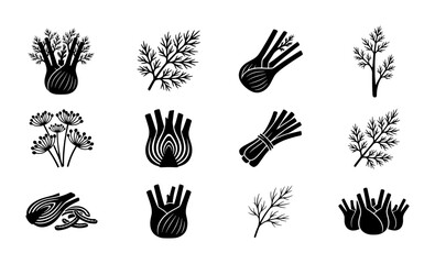 Fototapeta premium Fennel Vegetable Icons Set, Fresh Herb Illustrations, Culinary Ingredient Graphics, Healthy Food Vector Collection
