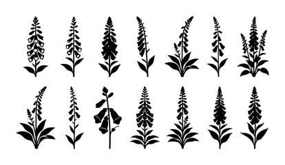 Digitalis Foxglove Silhouettes, Botanical Vector Illustrations, Elegant Floral Elements, Wildflower Collection, Garden Plant Graphics © Farhan
