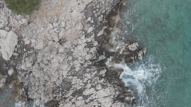 Small Rocky Island with Pine Trees in Turquoise Sea