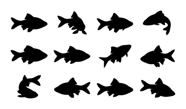 Vector Fish Silhouettes Collection, Aquatic Animal Icons Set, Marine Life Graphic Elements, Underwater Creatures Design Assets