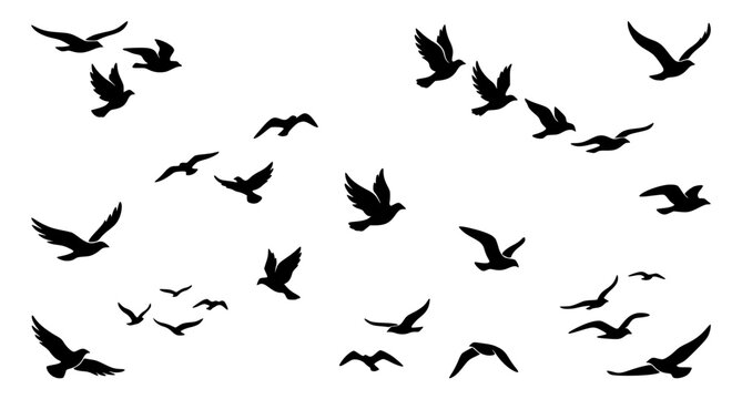 Dynamic vector illustration of migrating birds in black and white flying across blue sky minimal background