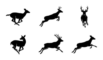 Fototapeta premium Deer Silhouettes Collection: Running, Jumping, Standing Wildlife Vector Icons