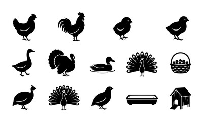 Farm Birds Silhouette Icons Set: Rooster, Hen, Chick, Duck, Goose, Turkey, Peacock, Quail, Basket, Coop © Raju