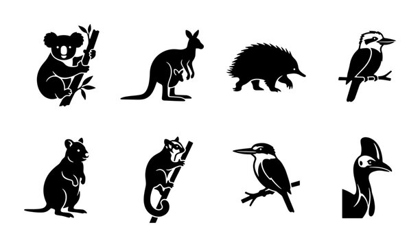 Australian Wildlife Icons Set, Silhouette Vector Graphics of Native Animals, Koala, Kangaroo, Birds