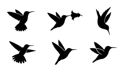 Fototapeta premium Hummingbird Silhouettes Vector Set, Delicate Bird Icons for Nature Designs, Elegant Flying Wildlife Graphics