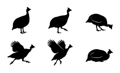 Obraz premium Guinea Fowl Silhouettes, Farm Bird Vector Icons, Poultry Animal Graphics, Domesticated Bird Poses