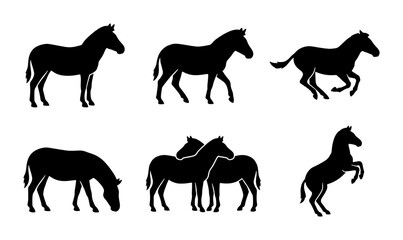Obraz premium Horse Silhouettes Collection, Equine Poses Vector Set, Animal Graphics for Design