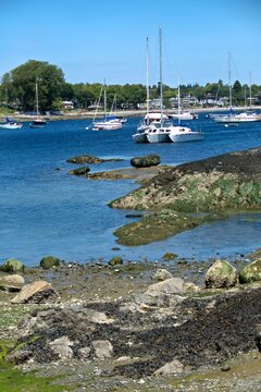 Oak Bay, BC, Canada - July 5, 2026: Low tide at rocky intertidal shoreline with anchored sailboats