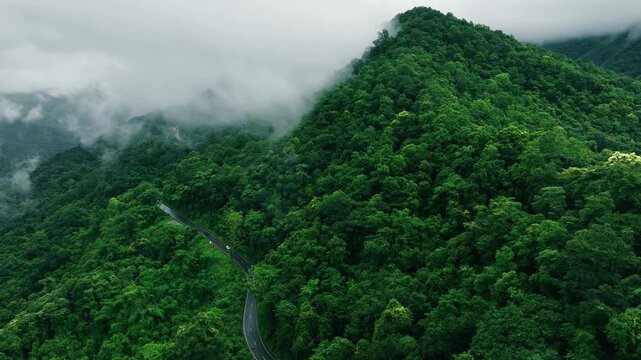 Aerial tropical forest landscape featuring a winding highway, perfect for corporate Sustainability Reports, Green Finance communication, Climate Resilience planning, Renewable Energy investment
