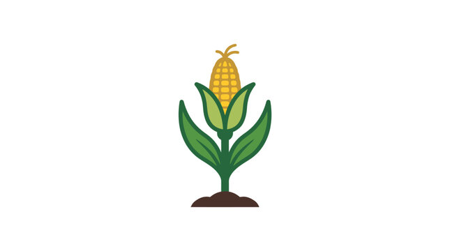A simple flat vector illustration of a single corn stalk growing in the soil