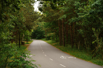 Obraz premium Asphalt bicycle path through dense green forest in summer, outdoor cycling infrastructure, eco tourism trail, recreational forest pathway, active lifestyle and green nature commute
