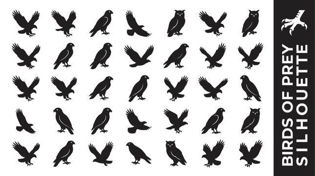 Collection of black silhouette icons of birds of prey like eagles, hawks and owls in flight and perched poses for diverse graphic design projects