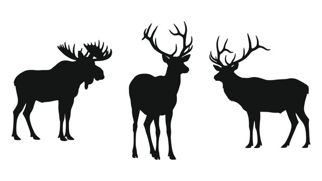 Moose deer and elk silhouettes against a white background antler