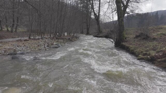 Rushing River Flowing Through Bare Forest in Early Spring